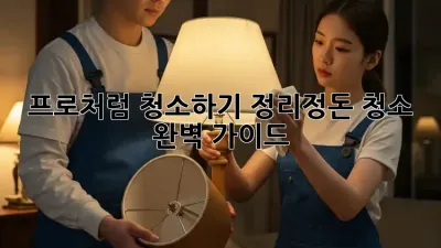 프로처럼 청소하기: 정리정돈 청소 완벽 가이드